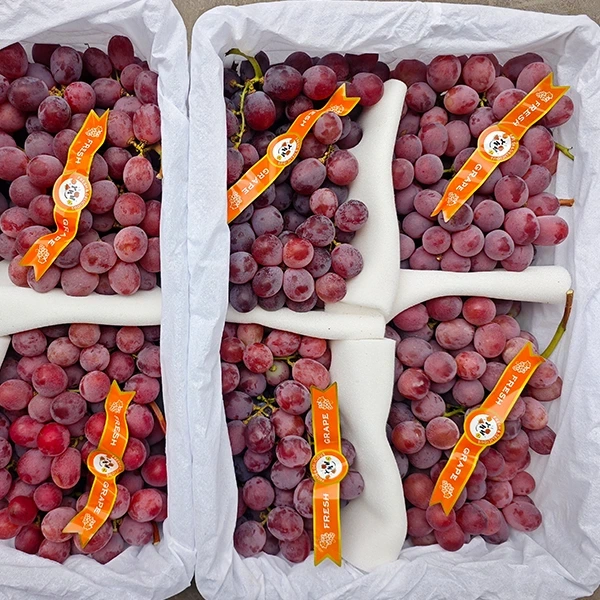 Consumo de uvas frescas de mesa avança em direção ao fornecimento direto de origem