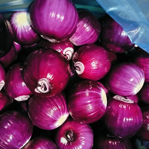 Huaang Food Processing ganha participação de mercado com qualidade estável