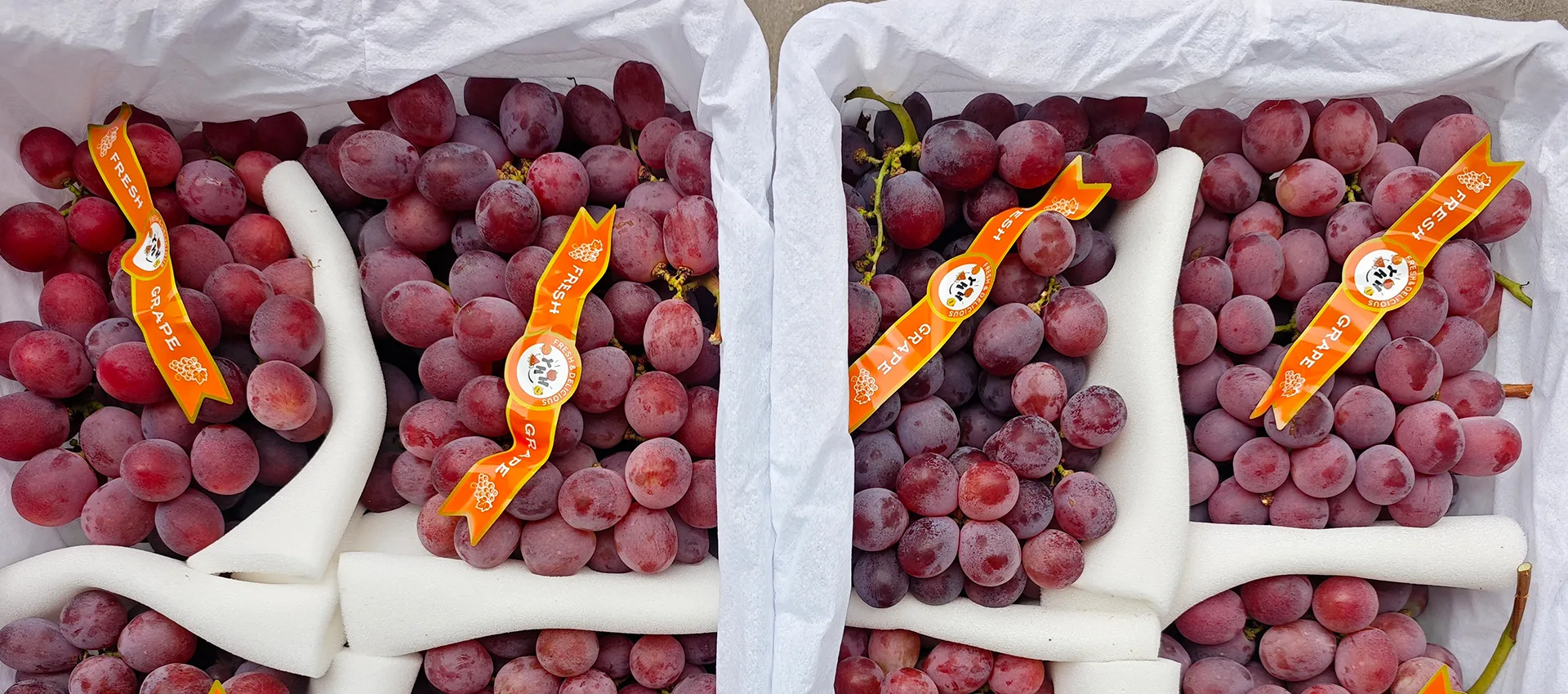 Fornecedor de uvas frescas premium da China