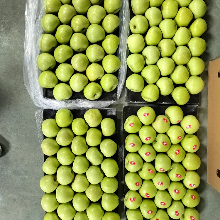 Maçãs verdes crocantes e doces