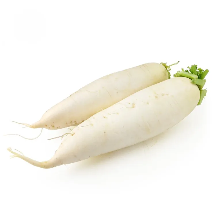 Rabanete Branco Crocante