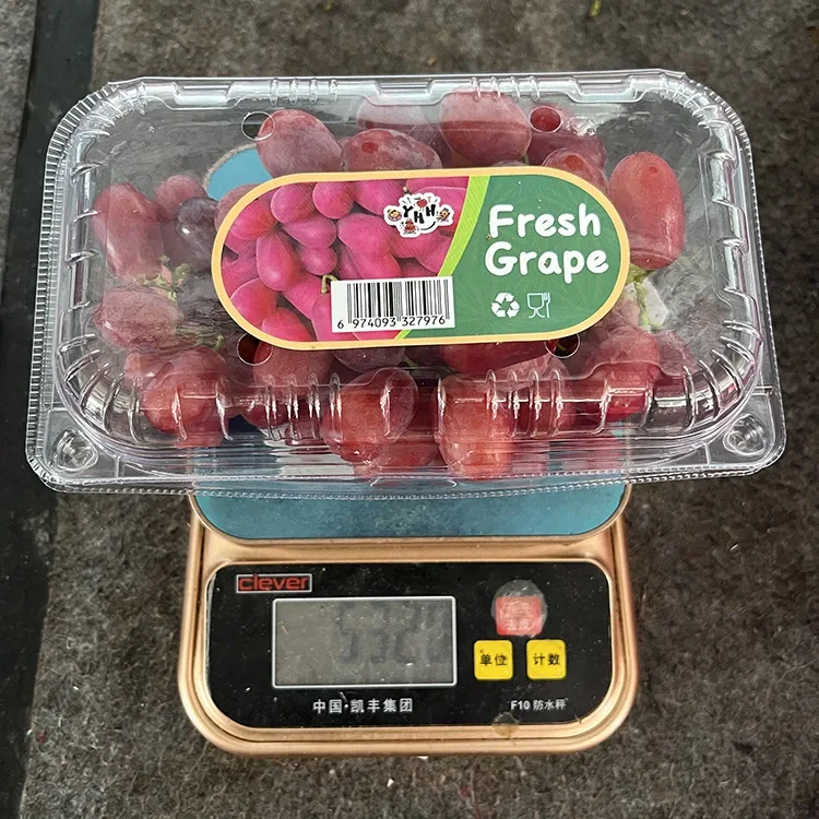 Uvas frescas sem sementes carmesins de grau de exportação