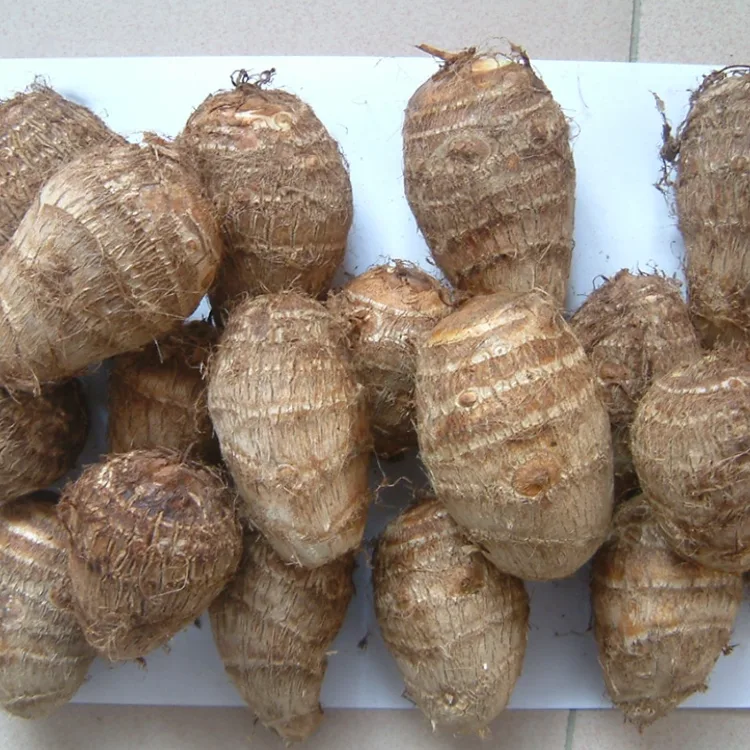 Campo Fresco Taro
