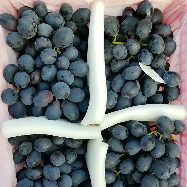 Uvas pretas recém-colhidas