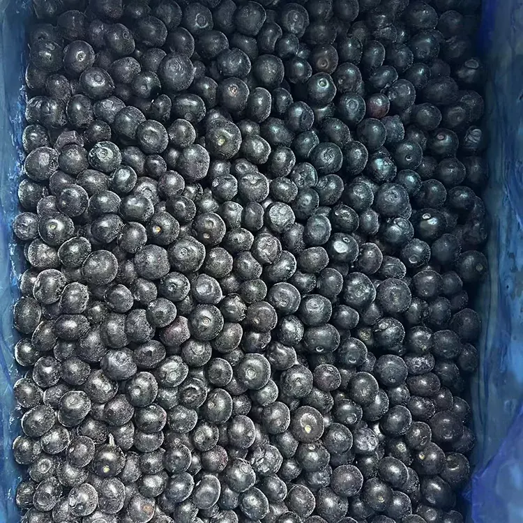 Mirtilos Congelados Premium IQF Mirtilos