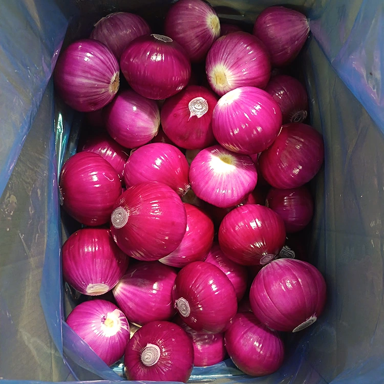 Cebolas Descascadas de Alta Qualidade