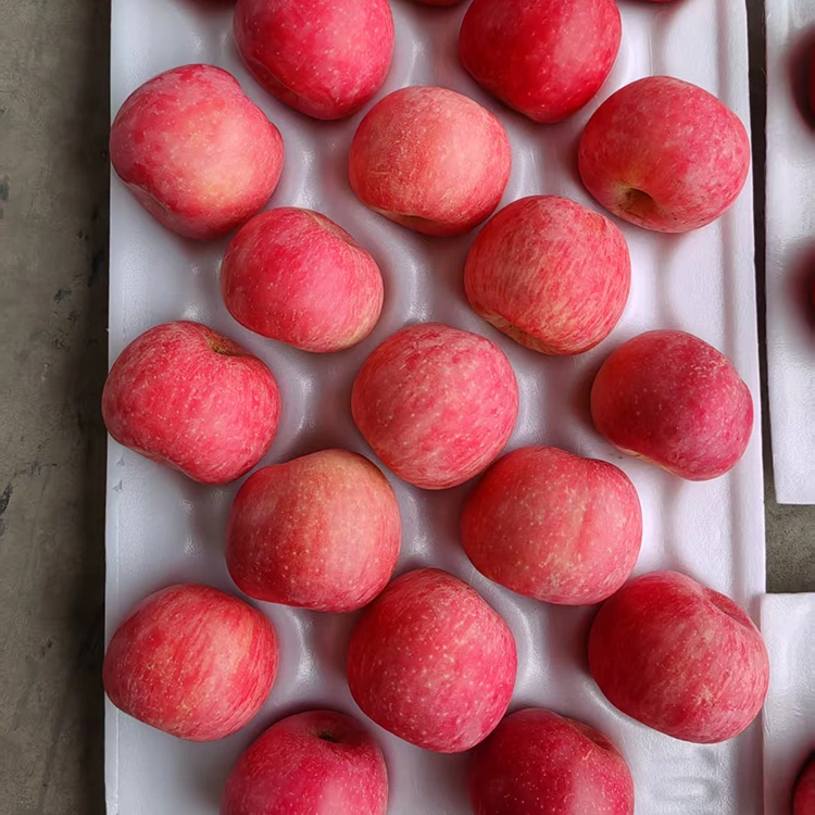 Maçãs Fuji Frescas Premium