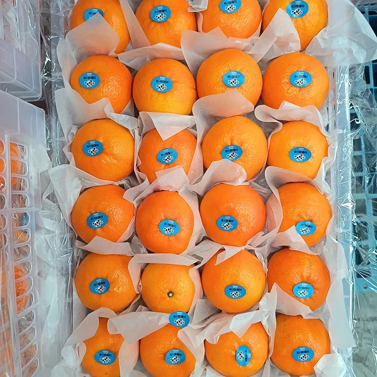 Mandarinas Wogan Doces Frescas Premium