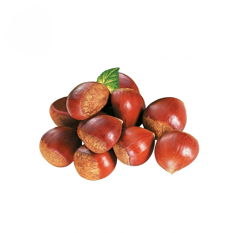 Castanhas de Qualidade Premium