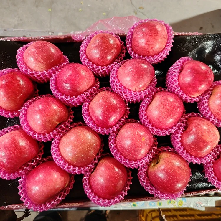 Maçãs Jiguan Frescas Superiores